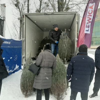 Świąteczna choinka w prezencie od Nowej Lewicy w Radomiu